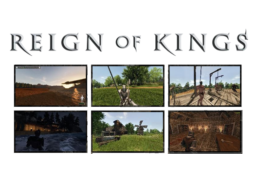 reign of kings dedicated server setup gui