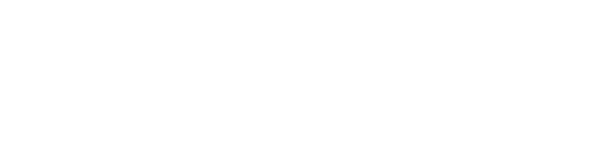 Bohemia Interactive