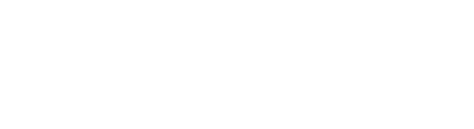 Studio Wildcard